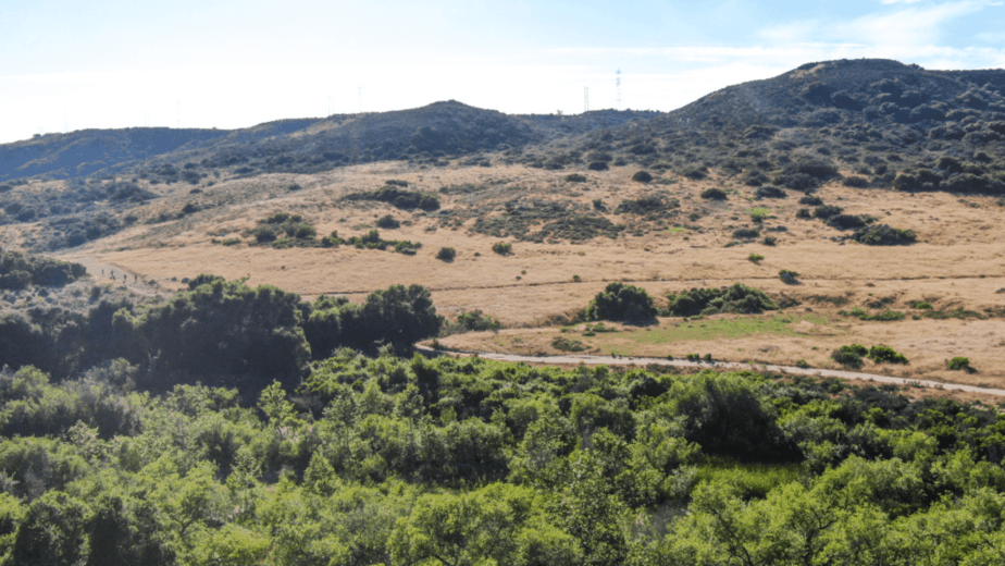 Los Peñasquitos Canyon Preserve, California