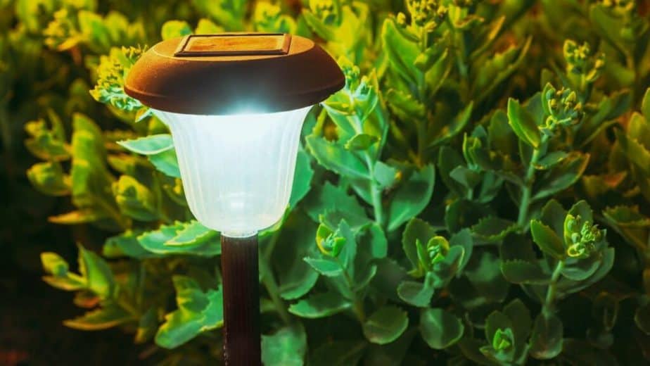 Solar Powered Lamps