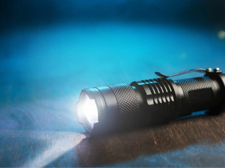How Effective or Ineffective are Tactical Flashlights on Bears?