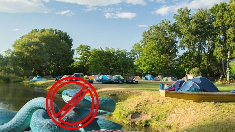 7 Key Tips For How to Keep Snakes Away When Sleeping on the Ground