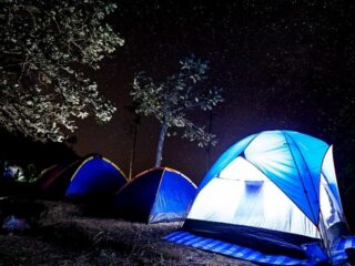 Having to Pee at Night When Camping — What to Do