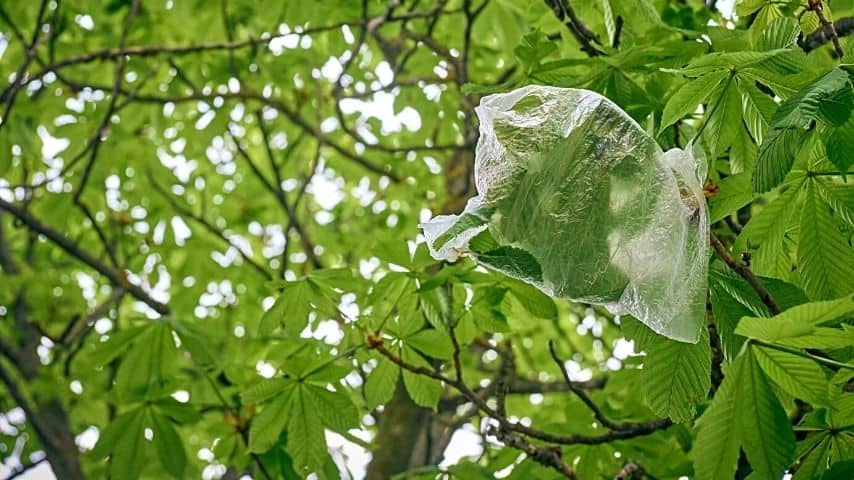 If bear-proof containers aren't around in the campsite, use regular plastic and hang your food in a tree