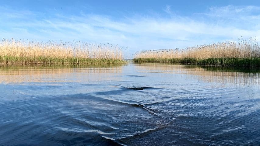 One way to check whether a lake is safe for swimming is to see the currents in the water