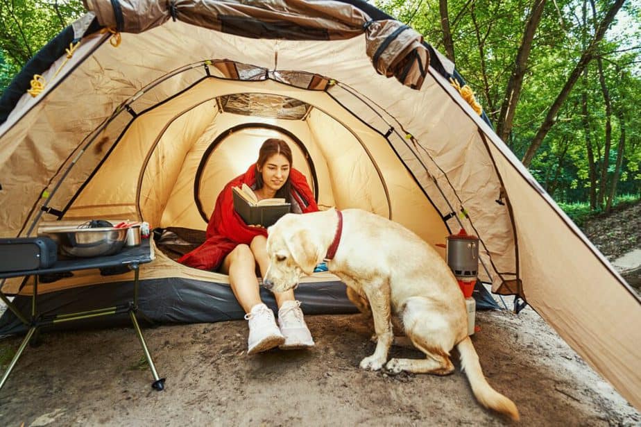 How to Keep a Dog Warm While Camping?