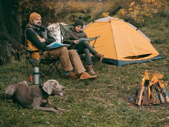 7 Best Tips On How To Keep A Dog Warm While Camping