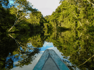 Can You Swim In The Amazon River?