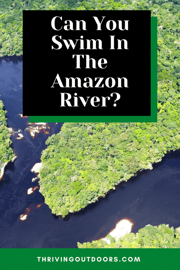 Can You Swim In The Amazon River?