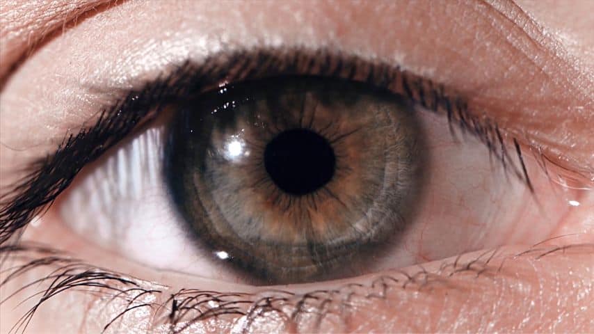The pupils of your eyes dilate whenever they're exposed to really bright light and can even cause temporary blindness