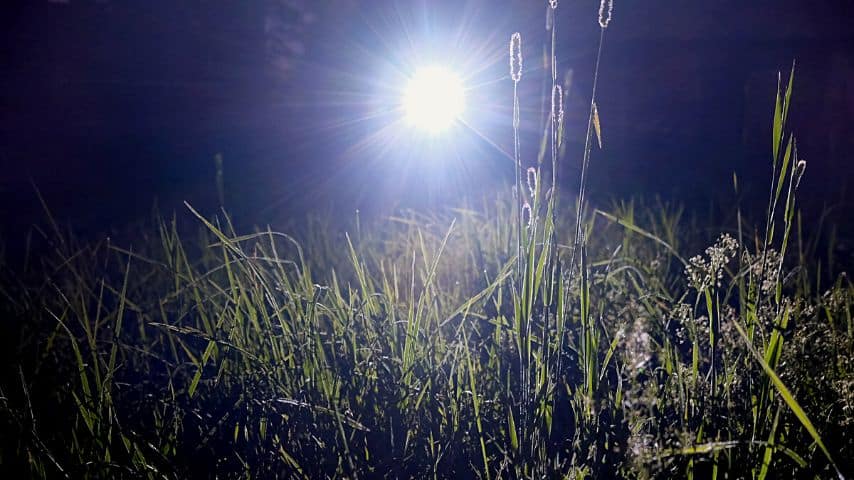 The white beam of a flashlight is harmful to use compared to red flashlights as they allow blue light to through the pupils